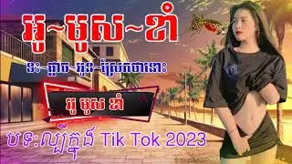 អូ មូស ខាំ ទះ ផ្លាច អូនស្រែកថានេាះ Twin Boy _ Original Song បទ:ល្បីក្នុងTik Tok 2023
