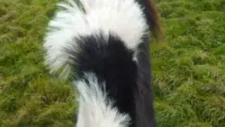 what it looks like to ride a horse