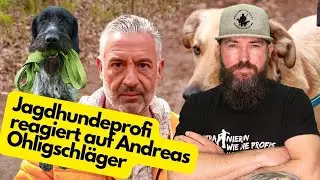 Dennis Panthen VS @andreasohligschlagermensch9167  - Reaction zum Thema Leinenführigkeit