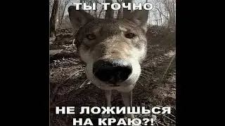 ТЫ ТОЧНО НЕ ЛОЖИШЬСЯ НА КРАЮ!? #пультотядерки #мем #fyp #shotrs