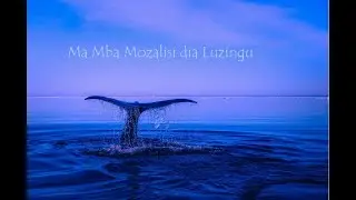 Ma Mba, Nza dia Ma Masa : Mozalisi dia Luzingu
