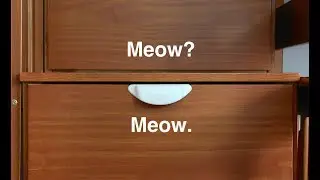 Cat-Proofing a Drawer