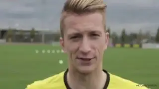 Губка Ройс