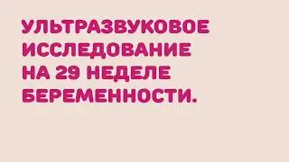 УЗИ на 29 неделе беременности