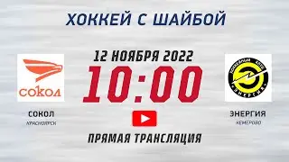 «Сокол» - «Энергия». Турнир по хоккею с шайбой среди детей 2013 года рождения