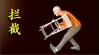 螳螂拳 拦截 LANJIE Mantis separate and intercept concept