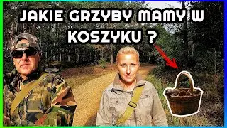 Pierwsze Grzybobranie w tym Roku I Domowe Wino z Winogron I Jakie Grzyby Mamy w Koszyku ? Podgrzybki