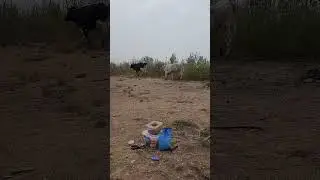 Рыбалка на Большие Аллаки!!!