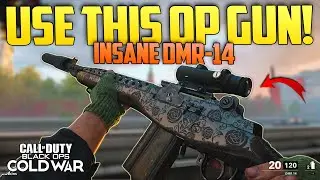 The BEST Marksman Rifle DMR 14 Setup (OVERPOWERED): Black Ops Cold War