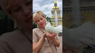 #голуби ❤