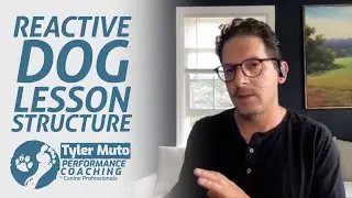 Reactive Dog Lesson Structure | Tyler Muto Performance Coaching