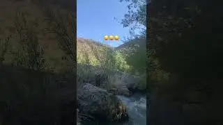 завидуйте молча городские 😄