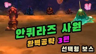 [와우클래식]안퀴라즈사원 완벽공략최종편 선택형보스(벌레3형제,아우로,비시디우스)Temple of Ahn'Qiraj guide part3