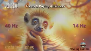 ADHD Focus Boost: Isochronic Tones for Enhanced Concentration & Attention