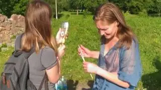 В чём смысл жизни от 