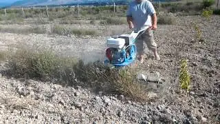 Мотоблок НЕВА  МБ 1 с двигателем HONDA GX270 борьба с сорняками в саду