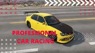 Professional car racing in first person