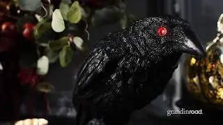Animated Turning Head Raven | Grandin Road