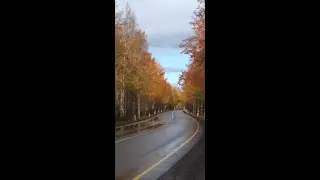 №17 Гармонизация взаимодействия головного мозга и сознания