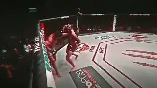 VINE - UFC
