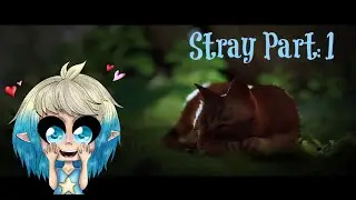 Stray {Part:1}