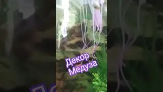 🪼Декор медуза для акваріума з сайту Аліекспрес.
