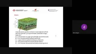 20- Fotosentez - Solunum - Kemosentez Soru Çözümü
