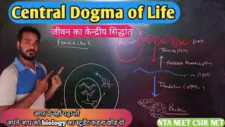 Central dogma of molecular Biology | Central dogma of life in Hindi  Molecular basis of Inheritance