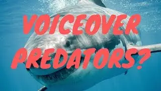 Voiceover Agents, Managers and P2Ps