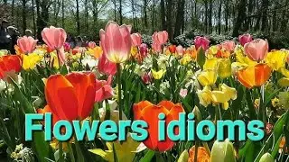 flowers idioms