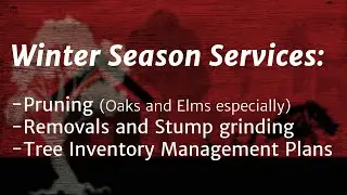 Winter Season Tree Services