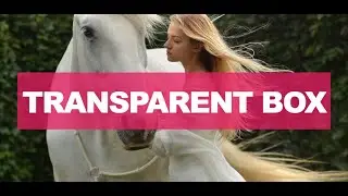 Transparent Text On Image | How To Add Transparent Background Image HTML | Smart Webtuts | 2020