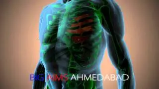 MEDICAL ANIMATION & RENDRING