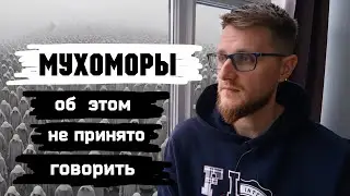 Мухоморы / Как к 40 годам убивают Дух человека