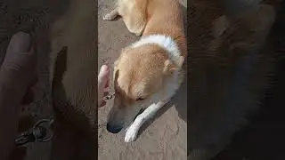 почему джек загрустил????? 🥲🥲🥲 