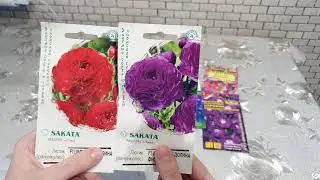 Цветы для моего сада часть 2