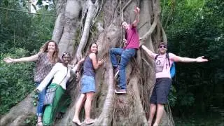 Bewew in Sintra (short version)