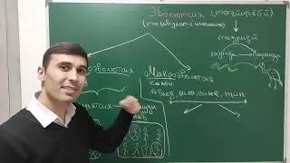 Эволюция. Микроэволюция. Макроэволюция. Исботи эволюция. Роххои эволюция. Шаклхои эволюция.