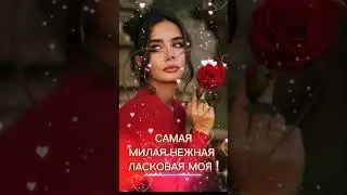 19 марта 2024 г.