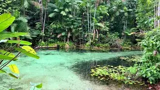 RIO UNA É UM ESPETÁCULO DA NATUREZA