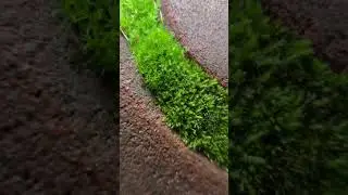 Красота вокруг нас ￼