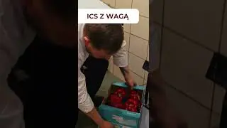 System ISC + waga - sprawne zarządzanie towarem w Puchaczówce