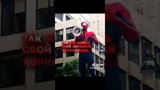 от мы и дома