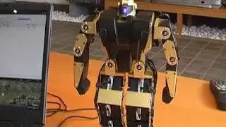 VRbot   Voice Recognition Module