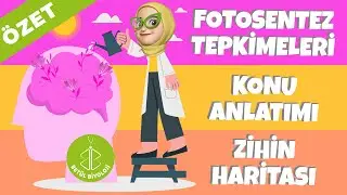 Fotosentez Tepkimeleri | Özet Konu Anlatımı | 12. Sınıf Biyoloji | AYT Biyoloji