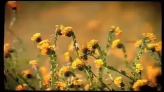 "Meadow" K-Fee commercial Without the Screamer