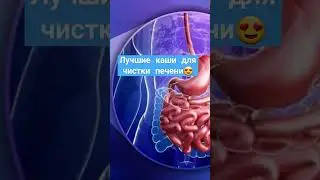 Лучшие каши для очистки печени #здоровье #здоровьеидолголетие #очисткапечени