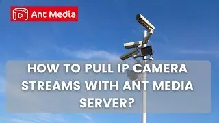 How to Pull IP Camera Streams with Ant Media Server?
