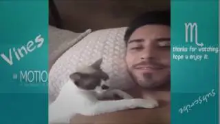 TRY NOT TO LAUGH-Funny Animals Fails Compilation 2016 (Part 4)