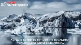 Милосердия Всевышнего Аллаха
